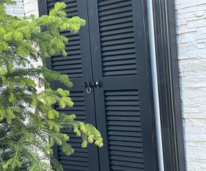 WhatsApp Image 2025-11-08 at 14.56.15