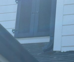 WhatsApp Image 2025-11-08 at 14.56.16